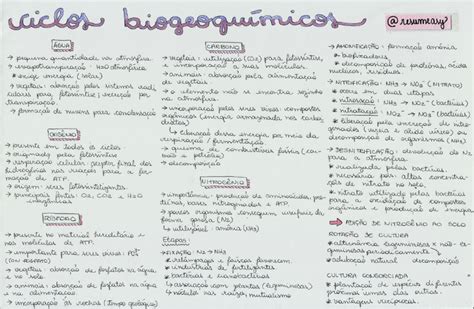 Ciclos biogeoquímicos resumos e mapas mentais Infinittus