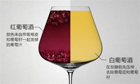 如何真正區分紅葡萄酒、白葡萄酒？ 每日頭條