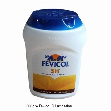 500gm Fevicol SH Adhesive At Rs 210 Piece Fevicol Adhesive In