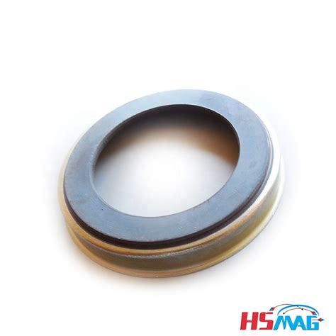 Automotive Abs Induction Injection Ferrite Magnetic Abs Ring Magnets