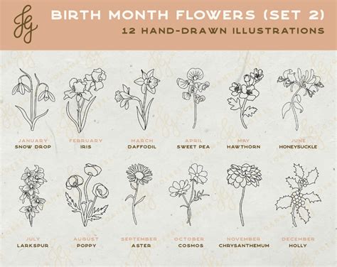 Birth Month Flowers Svg Clipart Set Summer Flower Svg Birth Flower