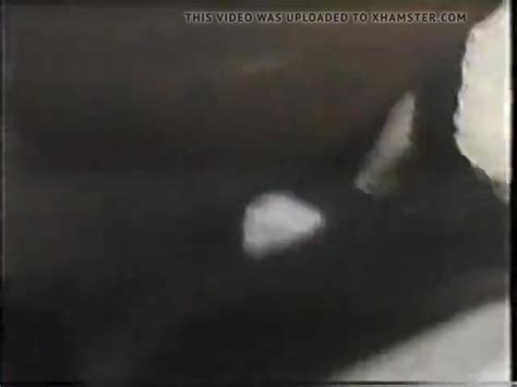 Free Quella Porcacciona Di Mia Moglie 1981 Porn Video