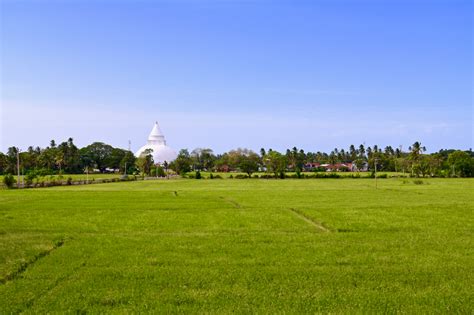 Tolle Bilder Aus Sri Lanka Von Einer Rundreise Mit Rotel Tours