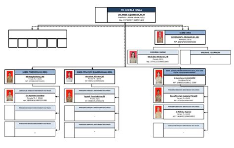 Struktur Organisasi Dinas Pemberdayaan Masyarakat Dan Desa