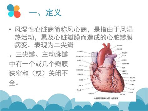 风湿性心脏病护理查房第五组word文档在线阅读与下载免费文档