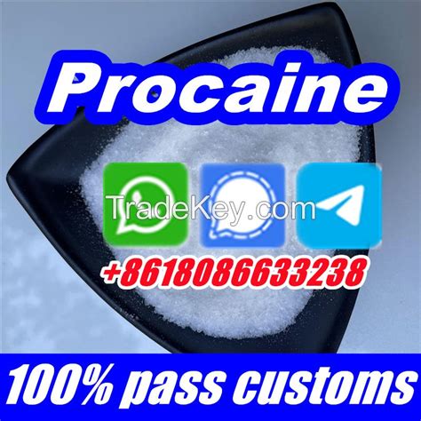 Procaine Hcl Powder Procaina Hydrochloride Anesthetics By Allswell Coltd