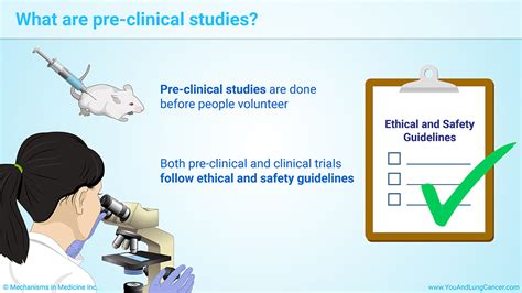 Slide Show Understanding Clinical Trials In Lung Cancer