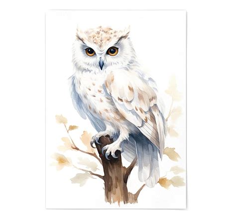 Owl Print Owl Wall Decor Owl Print Poster Unframed