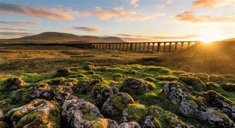 yorkshire cbr testing
