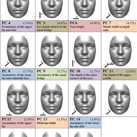 66 Pdf International Anthropometric Study Of Facial Morphology In