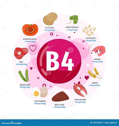 Vector Poster Products with Vitamin B4. Stock Vector - Illustration of ...