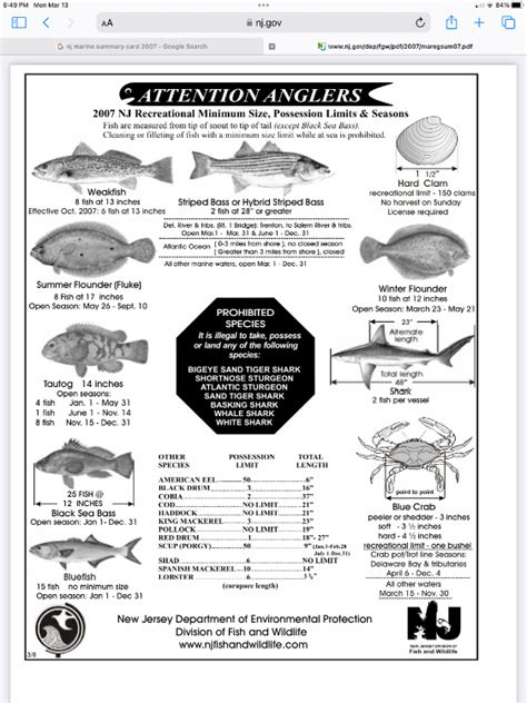 2023 Nj Marine Recreational Size Limits Saltwater Fishing Nj Woods