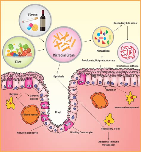 Frontiers Communication In Non Communicable Diseases Ncds And Role