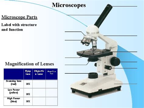 Microscopes Adapted By Mr Wolf Microscopes Objectives To