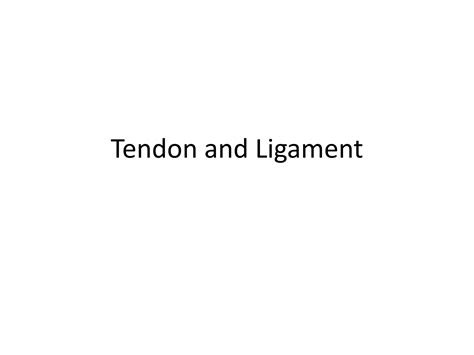 2 Tendons And Ligaments Ppt