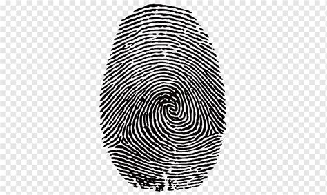 Fingerprint Identity Spiral Symmetry Monochrome Png Pngwing