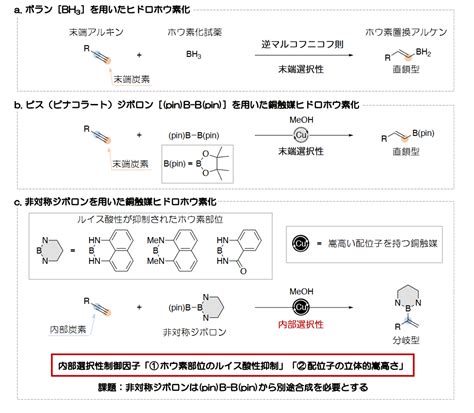 研究成果化学的特徴の可視化による医薬品有機材料合成に役立つ新たな汎用ホウ素化試薬の発見 広島大学