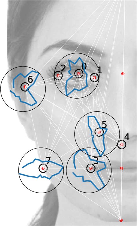 Figure From Unsupervised Inference Approach To Facial