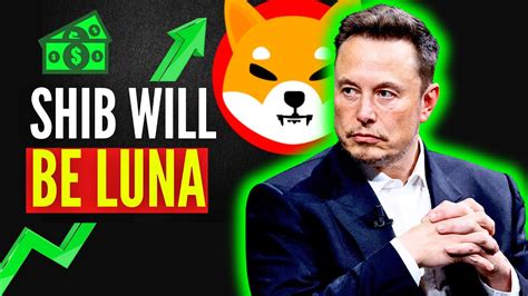 Shiba Inu Elon Musk It S About To Get Crazy Go Go Go Shiba