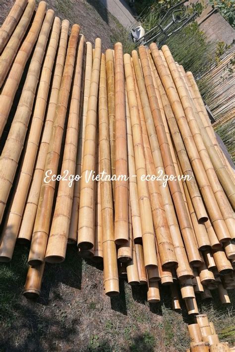 Best Price For High Quality And Wholesale Bamboo Poles Raw Bamboo