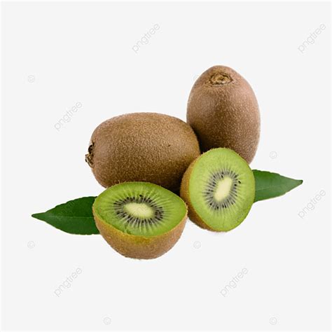 Kiwi Fruta Natural Sano Coraz N Verde Png Dibujos Kiwi Natural Fruta