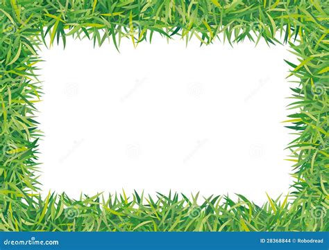 Frame Grass Stock Images Image 28368844