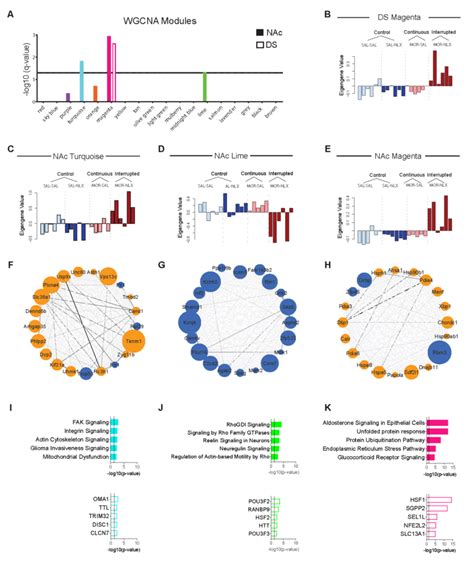 Weighted Gene Co Expression Network Analysis A E Consensus Modules