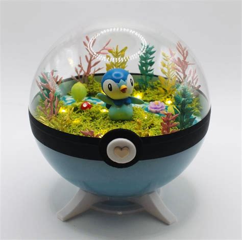 Pokeball Terrarium Piplup Piplup Etsy