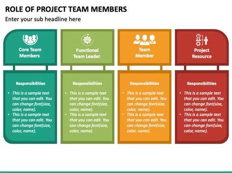 What are the roles and responsibilities of project team members