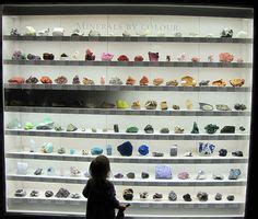 15 Best Rock & Mineral Collection Displays ideas | mineral collection ...