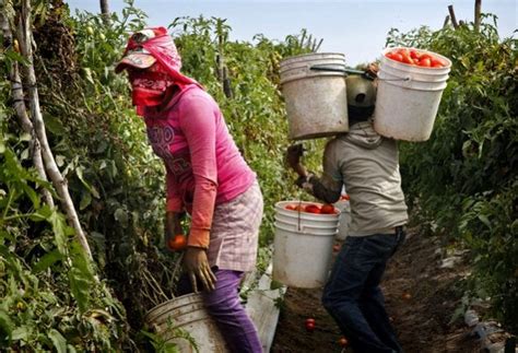 Los jornaleros las mayores víctimas del trabajo esclavo en México