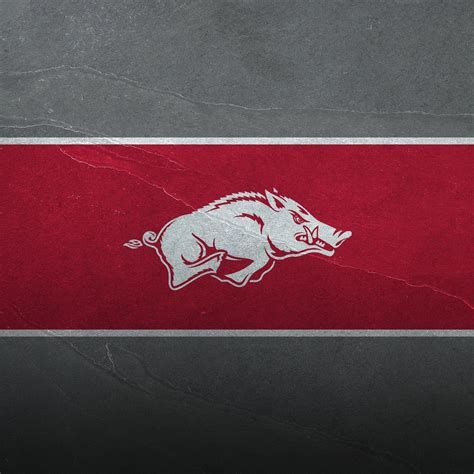 Arkansas Razorbacks Wallpapers Top Free Arkansas Razorbacks