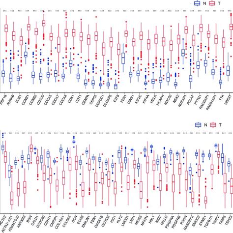 Box Plots Depicting The Expression Levels Of Hub Genes Derived From A