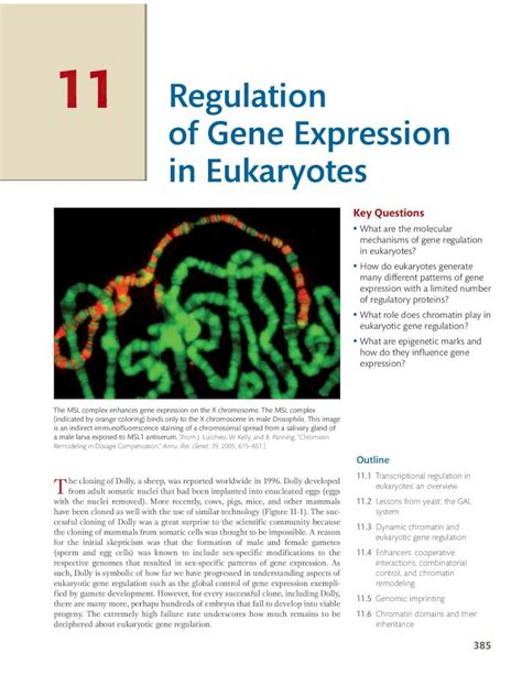 PDF Regulation Of Gene Expression In Eukaryotes DOKUMEN TIPS