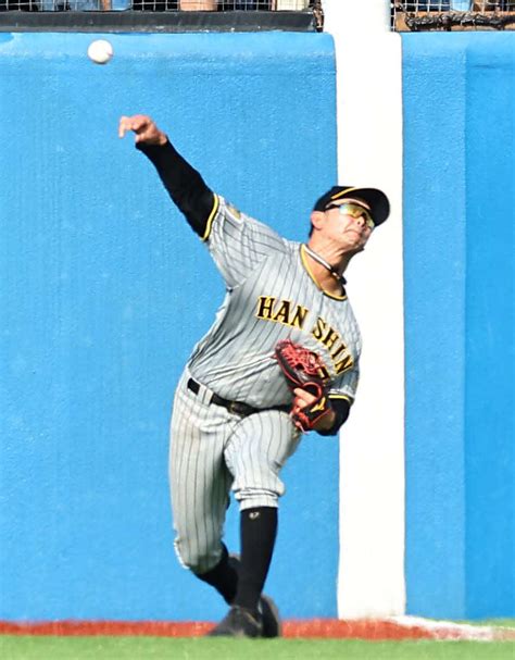 【阪神】野口恭佑「そら誰が見てもええやんか」デビュー戦で痛烈打球、いきなり岡田監督絶賛 プロ野球写真ニュース 日刊スポーツ