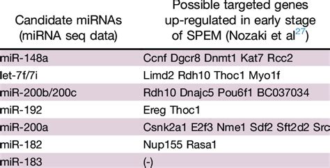 Candidate Micrornas And Their Targeted Genes Related To Spem