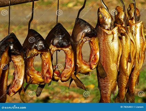 Smoked Fish Stock Image Image Of Food Carp Hanging 7826403