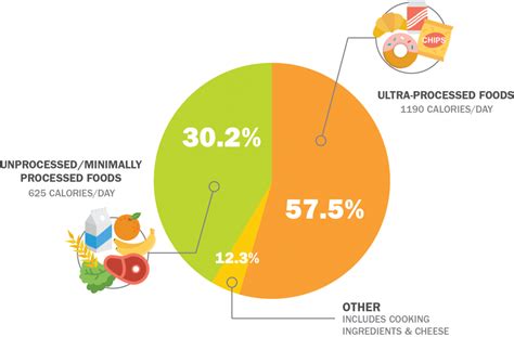 How Food Is Processed In The Body At Anna King Blog