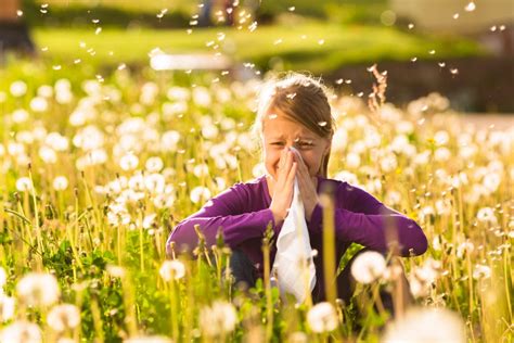 Allergien im Frühling Es liegt etwas in der Luft Medlanes