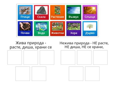 Природата около нас. - Група сортиране