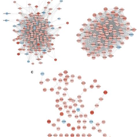 Identification Of Hub Genes Via Wgcna And Ppi Network A The Network