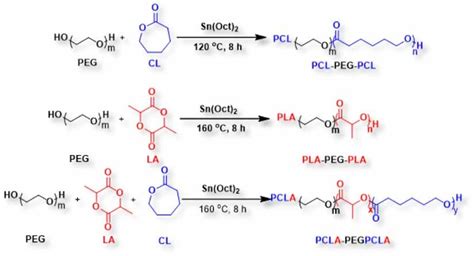 The Synthesis Strategy Of Polyester B Peg B Polyester Triblock