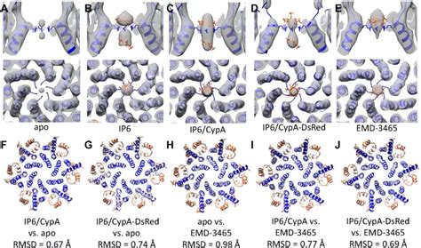 Sci Adv 冷冻电子断层扫描技术解决hiv衣壳结构 知乎