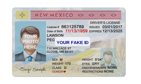 New Mexico Fake ID Template Your Fake ID Templates