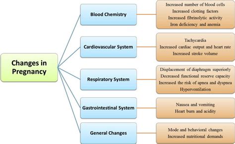 List Of Women S Body Changes During Pregnancy Sexpally