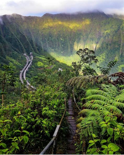 Hawaii On Instagram Jungle In The Sky Oahu Hawaii Nakedhawaii