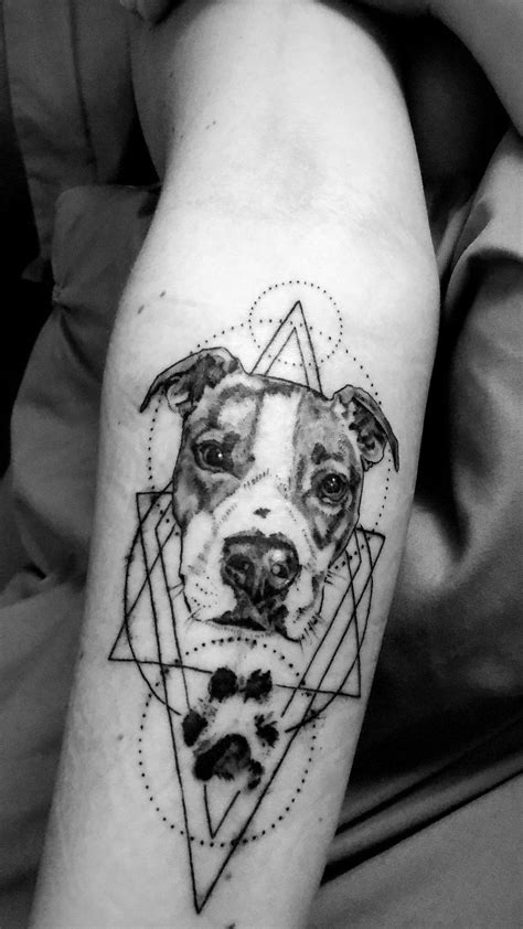 205 Pitbull Tattoos Ideas And Designs 2022 TattoosBoyGirl Pitbull