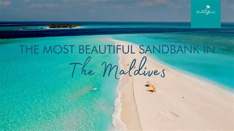 The Most Beautiful Sandbank In The Maldives Fushifaru Sandbank YouTube