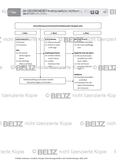 Störungsmodelle Das Modell der doppelten Handlungsregulation drei