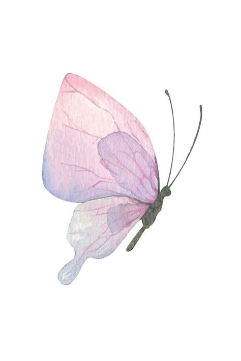 Purple Butterfly Hand Drawn Watercolor Illustration Isolated Object